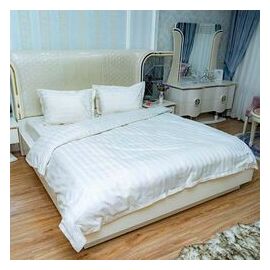 Страйп_сатин_17