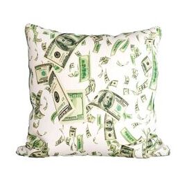 Диванная_подушка_Баксы_или_Money_2