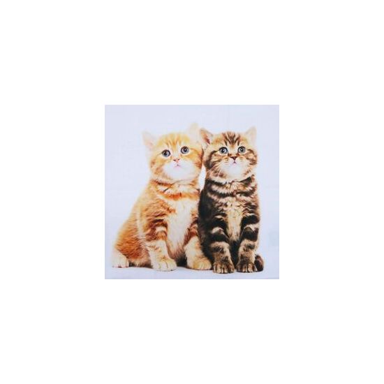 Наволочка_декоративная_23