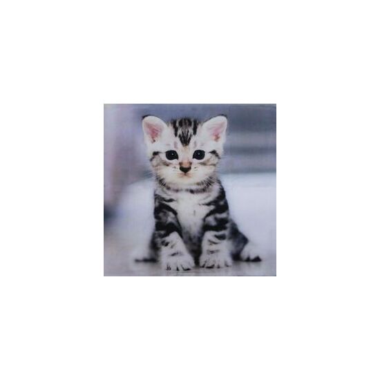 Наволочка_декоративная_1_fah0-hj