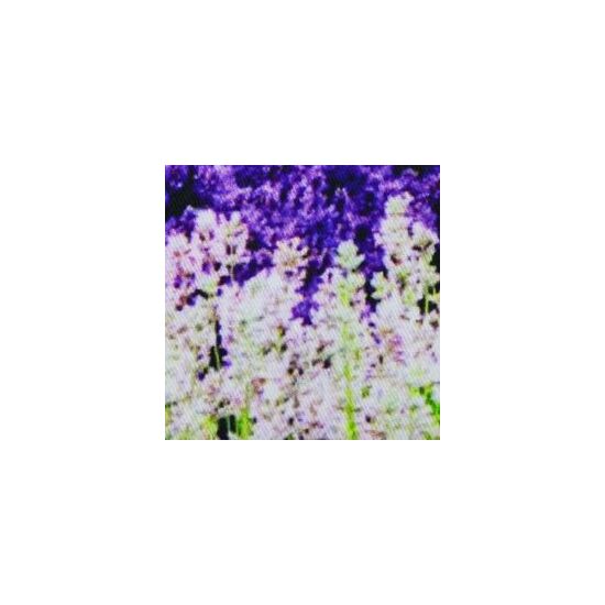 Наволочка_декоративная_18_70a1-07