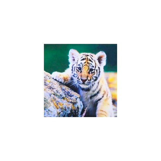 Наволочка_декоративная_5_uwi6-f7