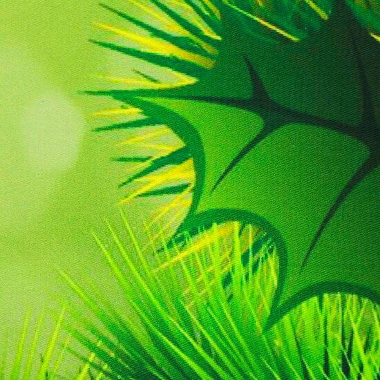 Новогодняя скатерть ширина 150 см Остролист 100% хлопок Mato®